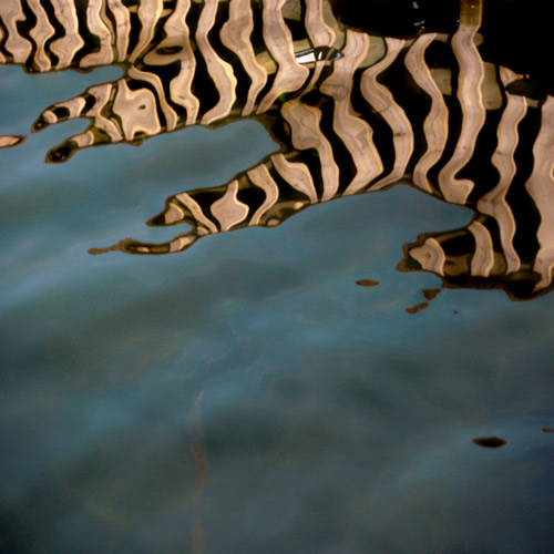 Reflection in Smogen harbour